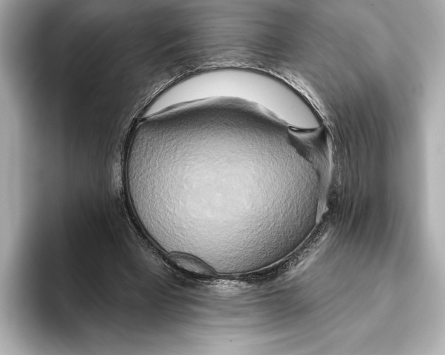 X0000095680393200802051256