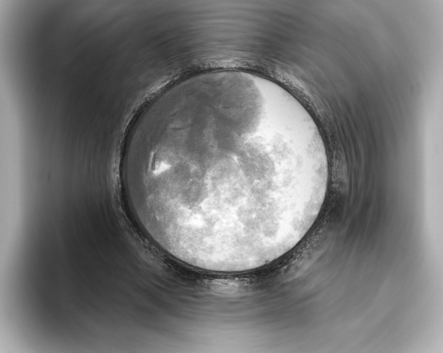 X0000095680394200802051256