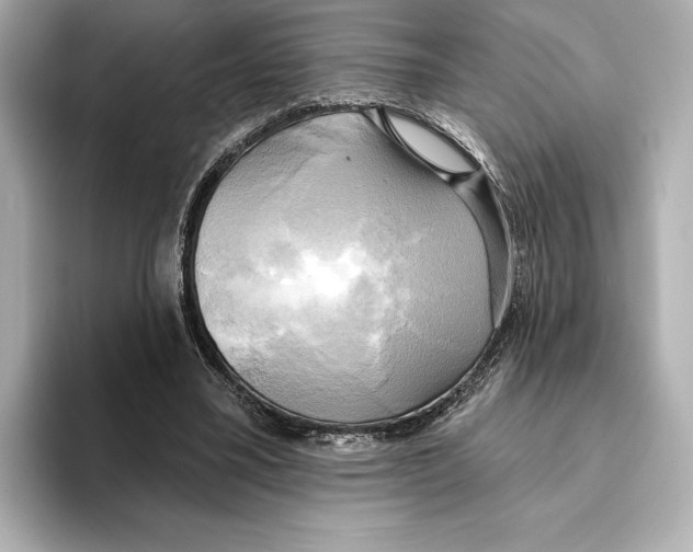 X0000095680395200802051256