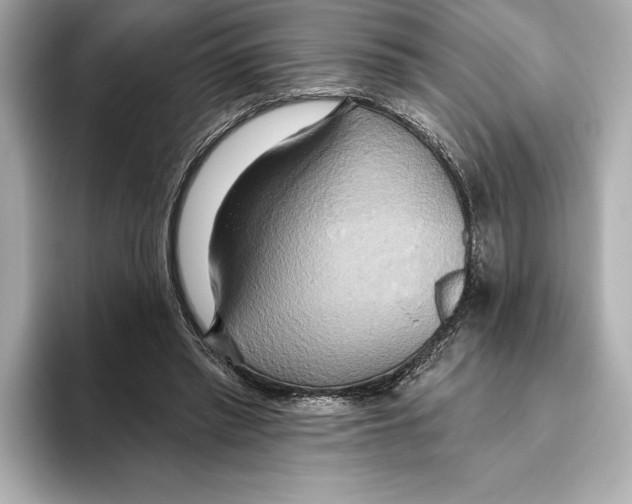 X0000095680397200802051256