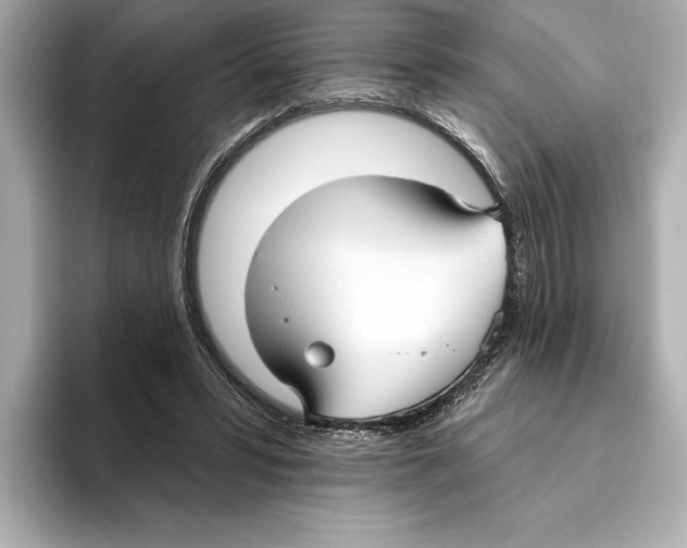 X0000095680399200802051256