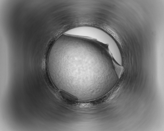 X0000095680401200802051256