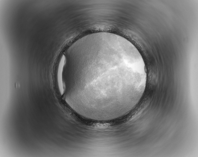 X0000095680403200802051256