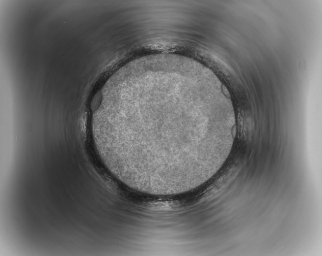 X0000095680404200802051256