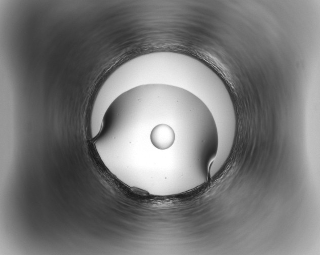 X0000095680405200802051255