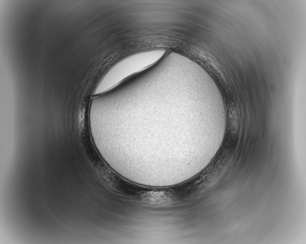 X0000095680406200802051255