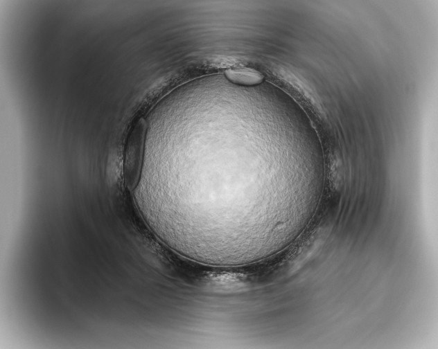 X0000095680407200802051255