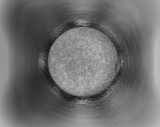 X0000095680408200802051255