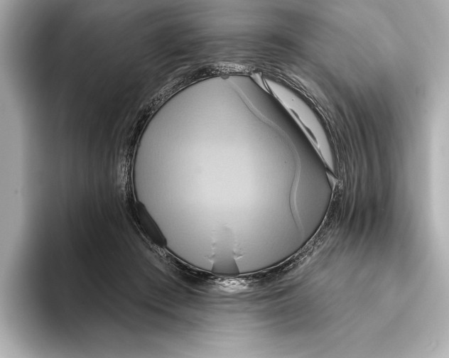 X0000095680409200802051255