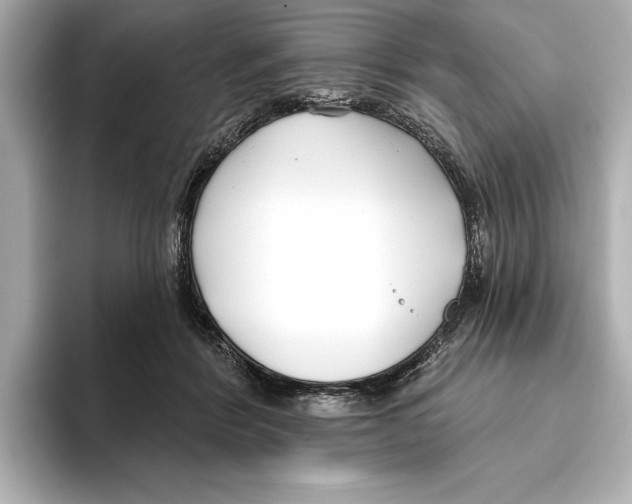 X0000095680412200802051255