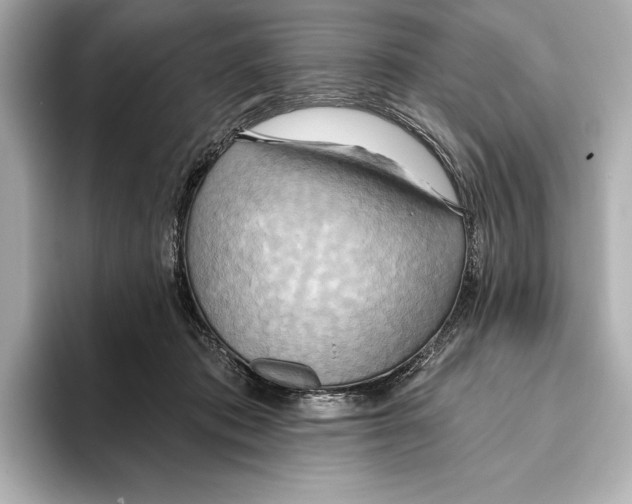 X0000095680413200802051255