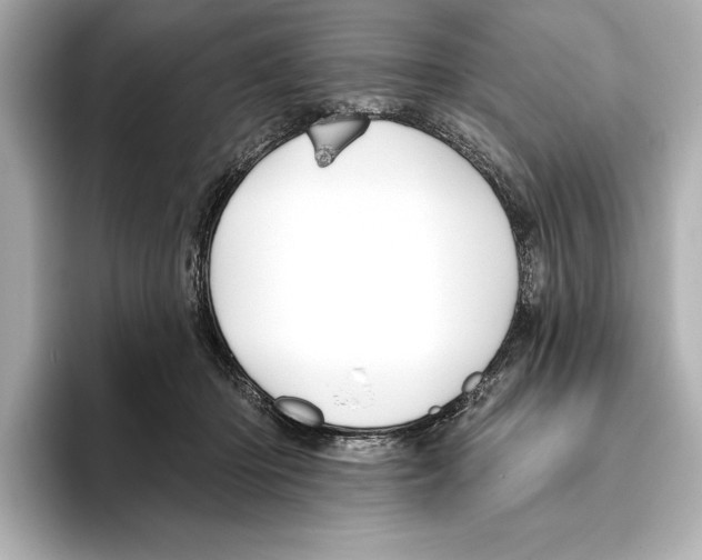 X0000095680414200802051255