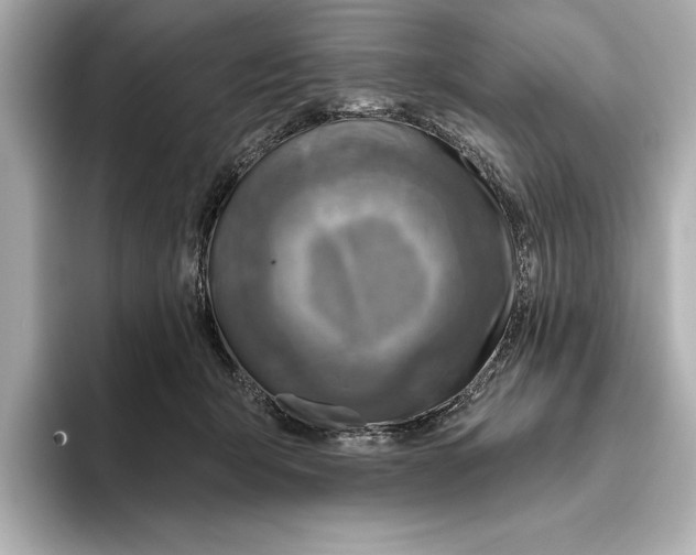 X0000095680415200802051255