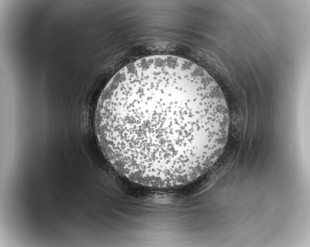X0000095680416200802051255