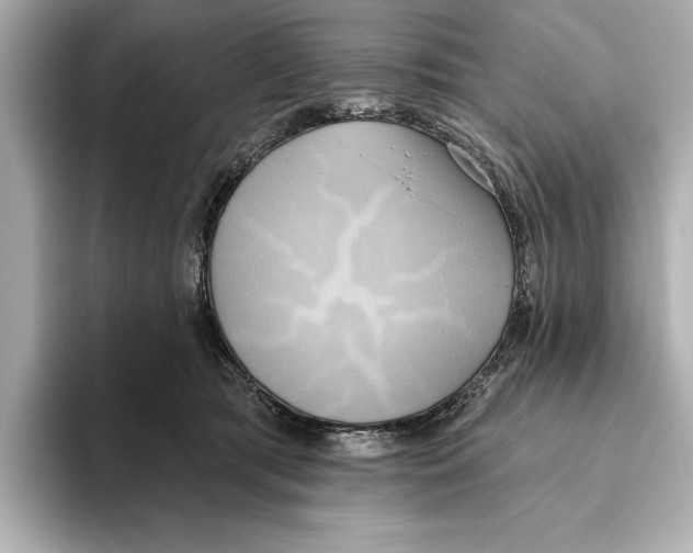 X0000095680417200802051255