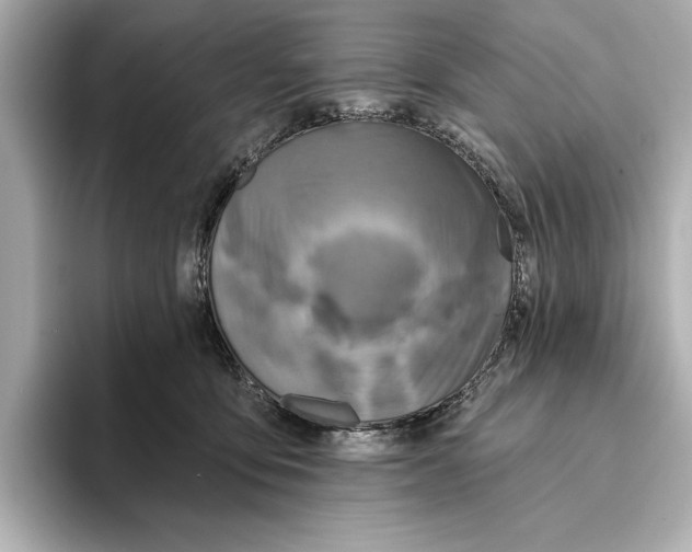 X0000095680419200802051255