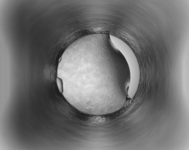 X0000095680421200802051255