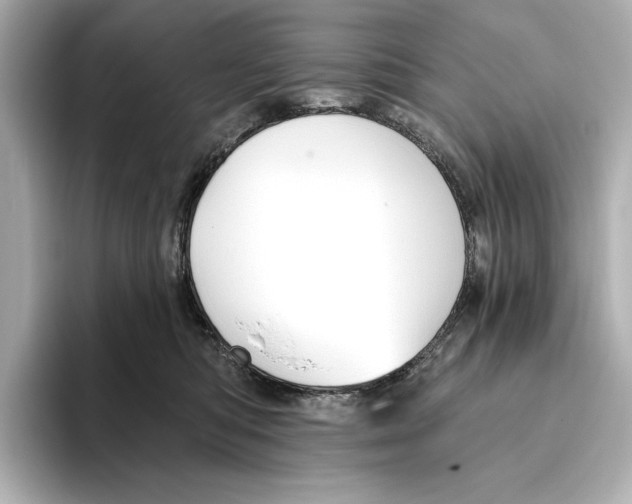 X0000095680422200802051255