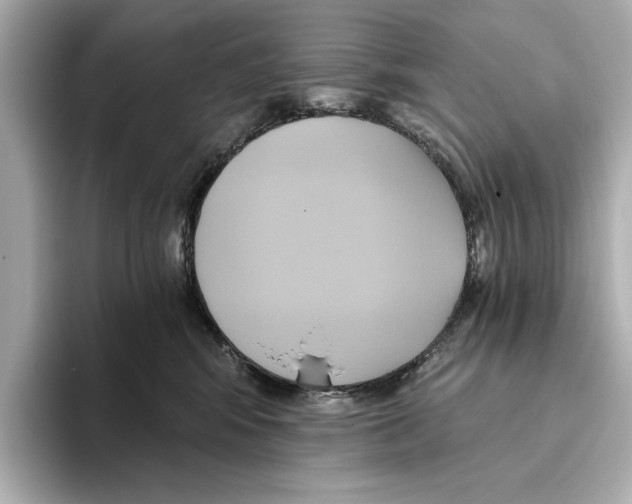 X0000095680424200802051255