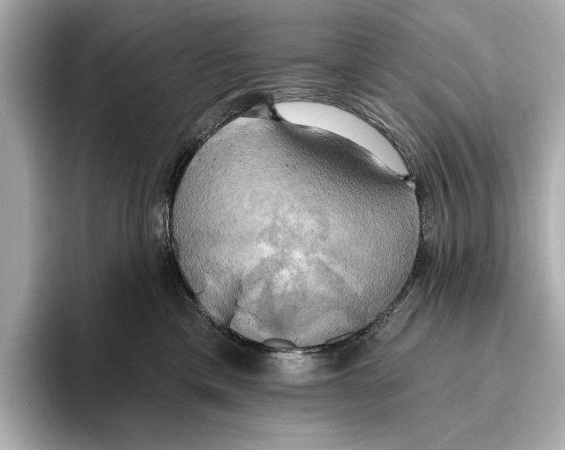 X0000095680425200802051255