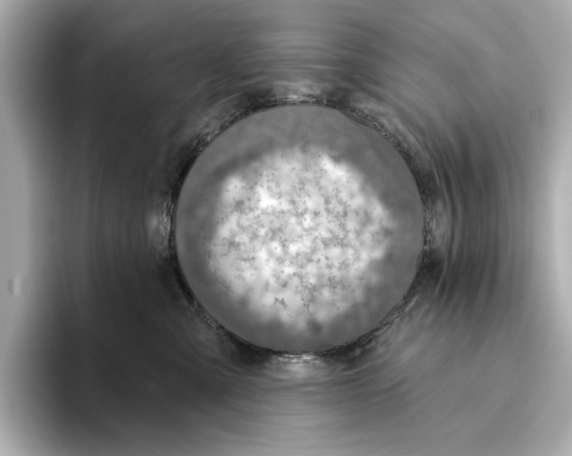 X0000095680427200802051255