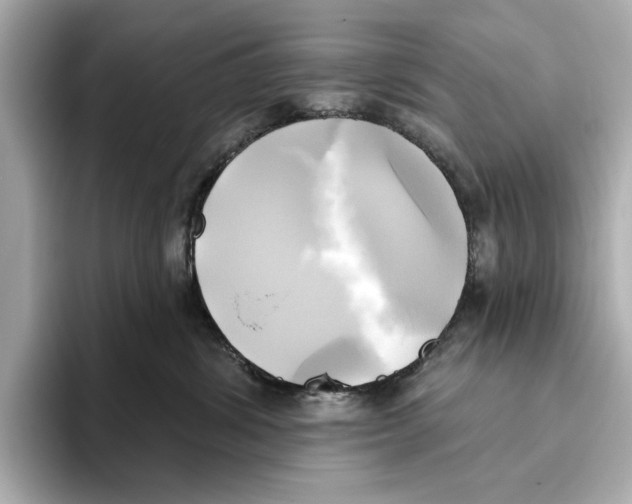 X0000095680428200802051255