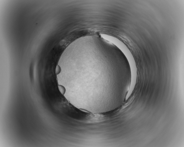 X0000095680429200802051255