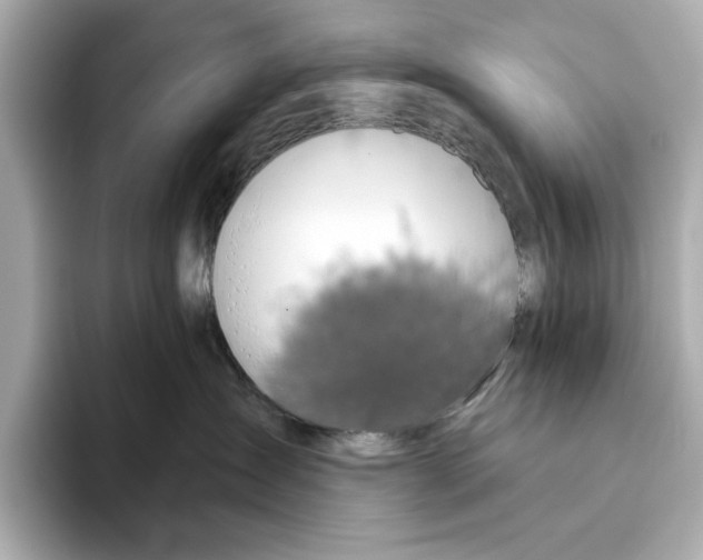 X0000095680431200802051255