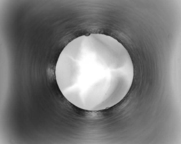 X0000095680432200802051255