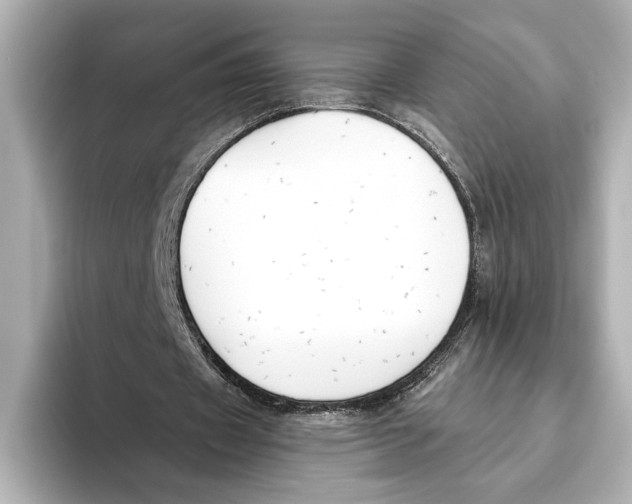 X0000095680433200802051255