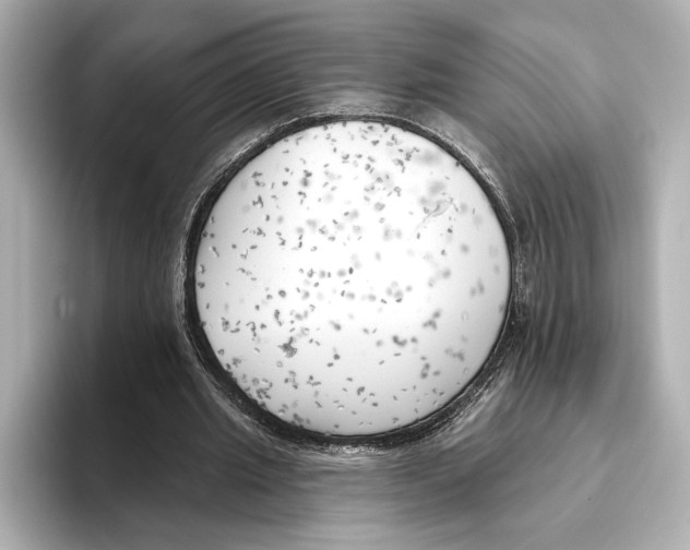X0000095680437200802051255