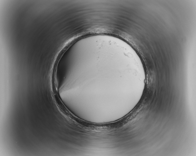 X0000095680438200802051255