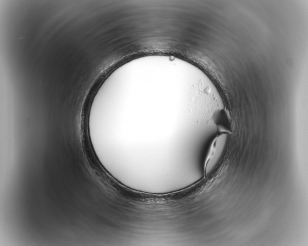 X0000095680439200802051255