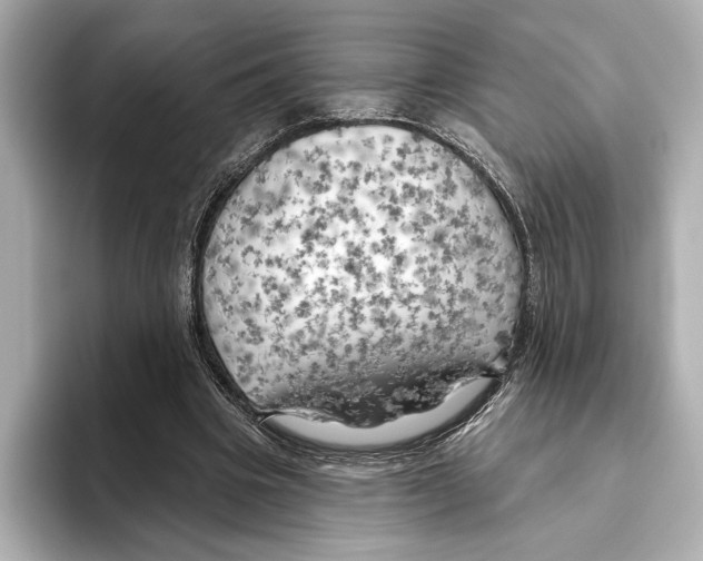 X0000095680441200802051255