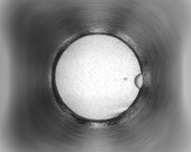 X0000095680442200802051255