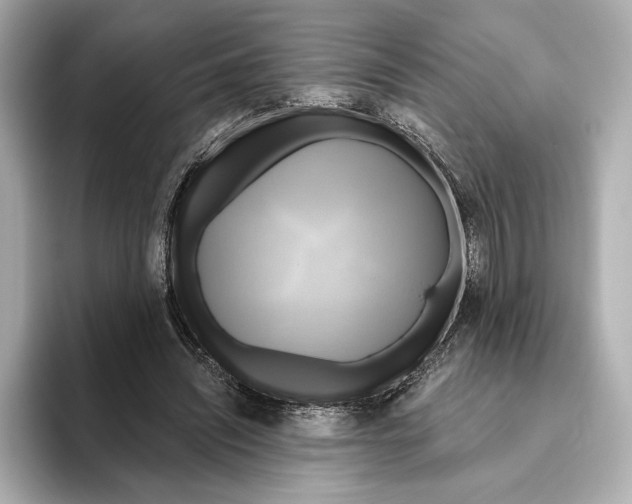 X0000095680444200802051255