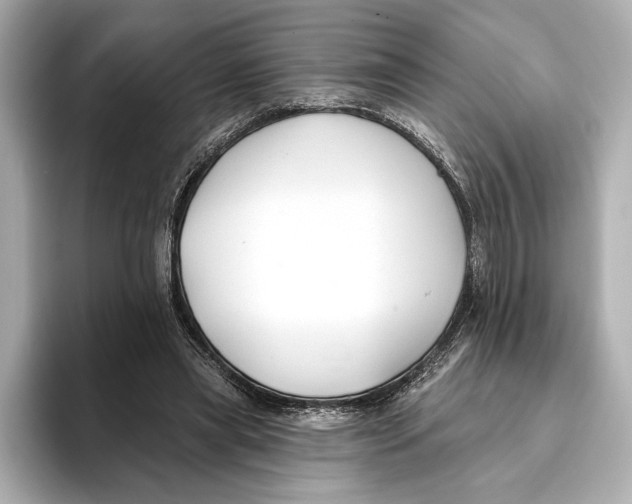 X0000095680445200802051255