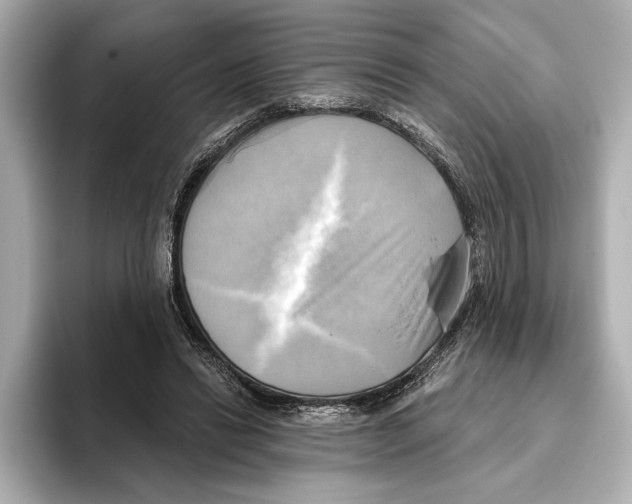 X0000095680446200802051255