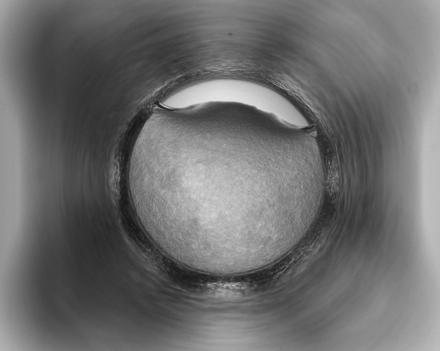 X0000095680448200802051255