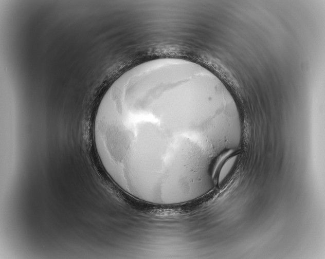 X0000095680449200802051255