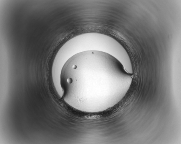 X0000095680452200802051255