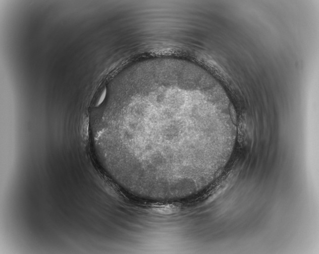 X0000095680454200802051255