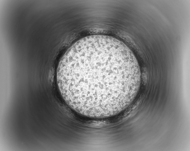 X0000095680458200802051255