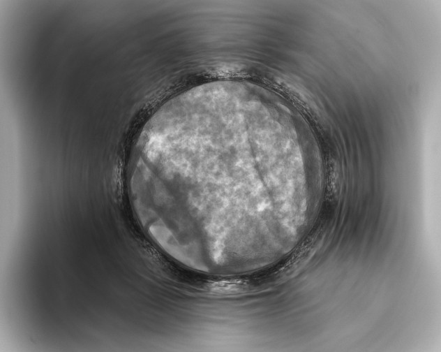 X0000095680461200802051255