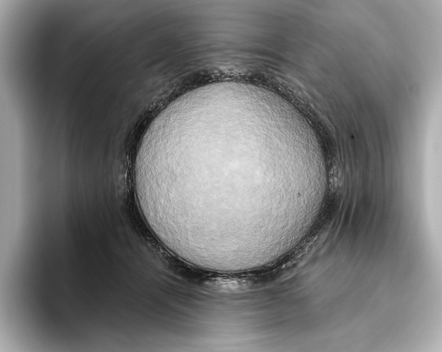 X0000095680464200802051255