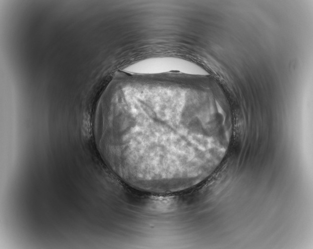 X0000095680469200802051255