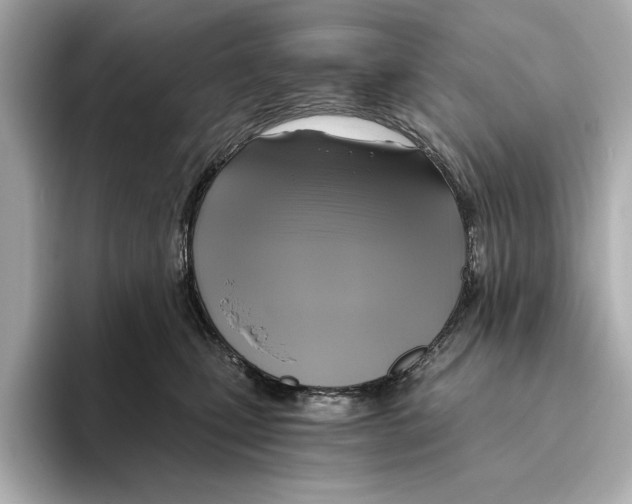 X0000095680471200802051255