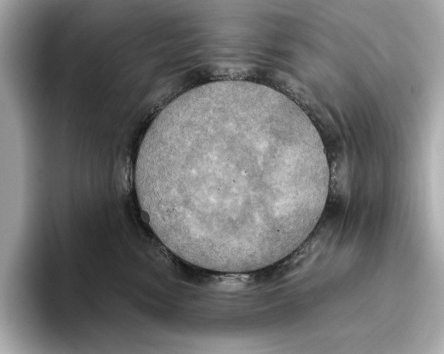 X0000095680474200802051255