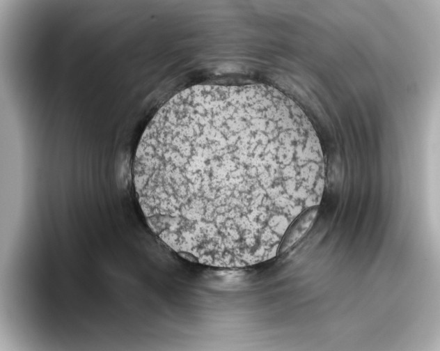 X0000095680478200802051255