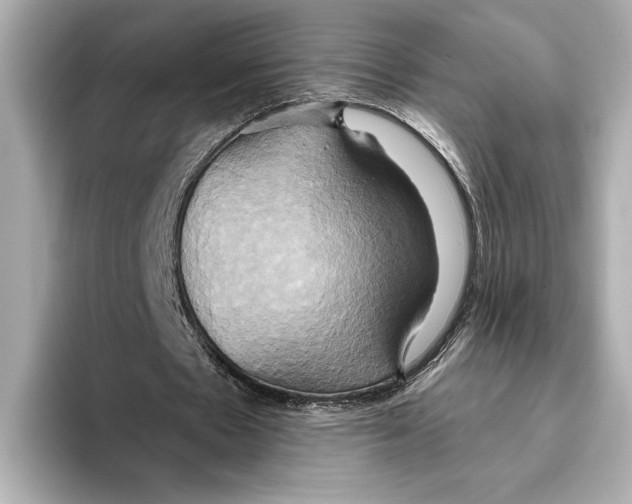 X0000095680481200802051254